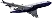 plane