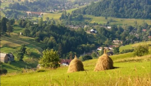 467.Фермерське господарство, Largos