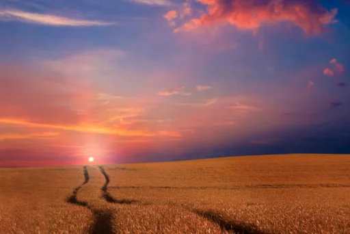 4011. Фермерское хозяйство Одесская область 3000 га, Largos