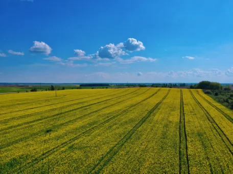 4798. Фермерское хозяйство в Днепропетровской области, Largos