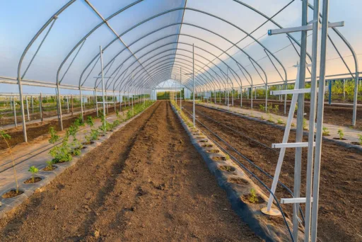 4842. Земельный массив 5,2 га с современной инфраструктурой, Largos