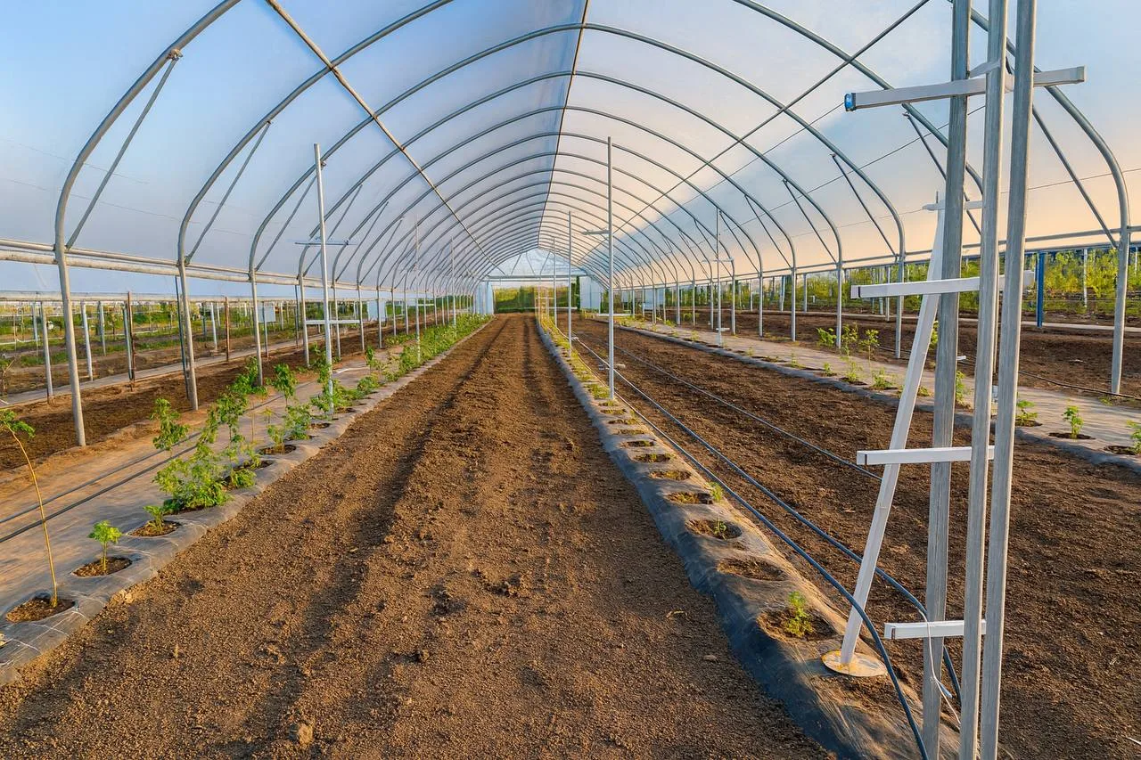 4842. Продаж земельного массива з тепличним комплексом — 5,2 га, Одеська область, Largos