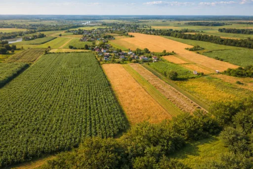 6207. Аграрне підприємство 1300 га, Largos