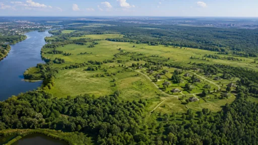 6515. Land massif 100 hectares, Kyiv region., Largos