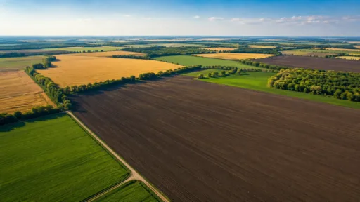 6657. Land massif 1,100 hectares Kyiv / Zhytomyr region, Largos